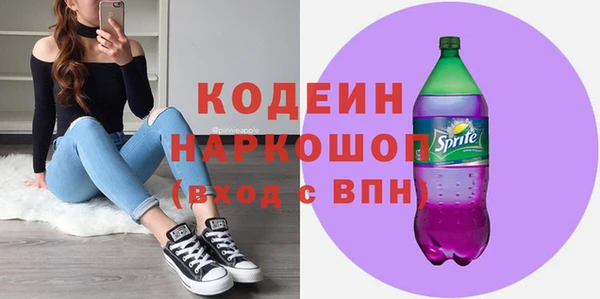 СК Каменногорск