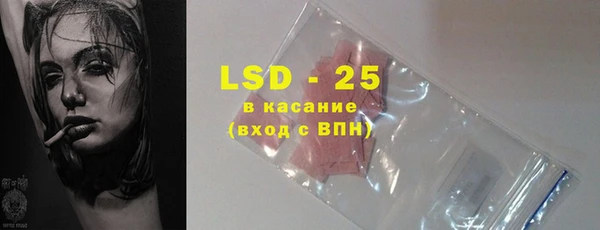 СК Каменногорск