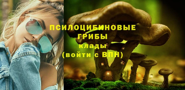 герыч Каменка