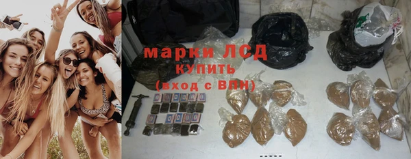 СК Каменногорск