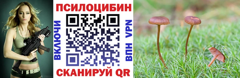 Псилоцибиновые грибы GOLDEN TEACHER  Купить  Ейск 